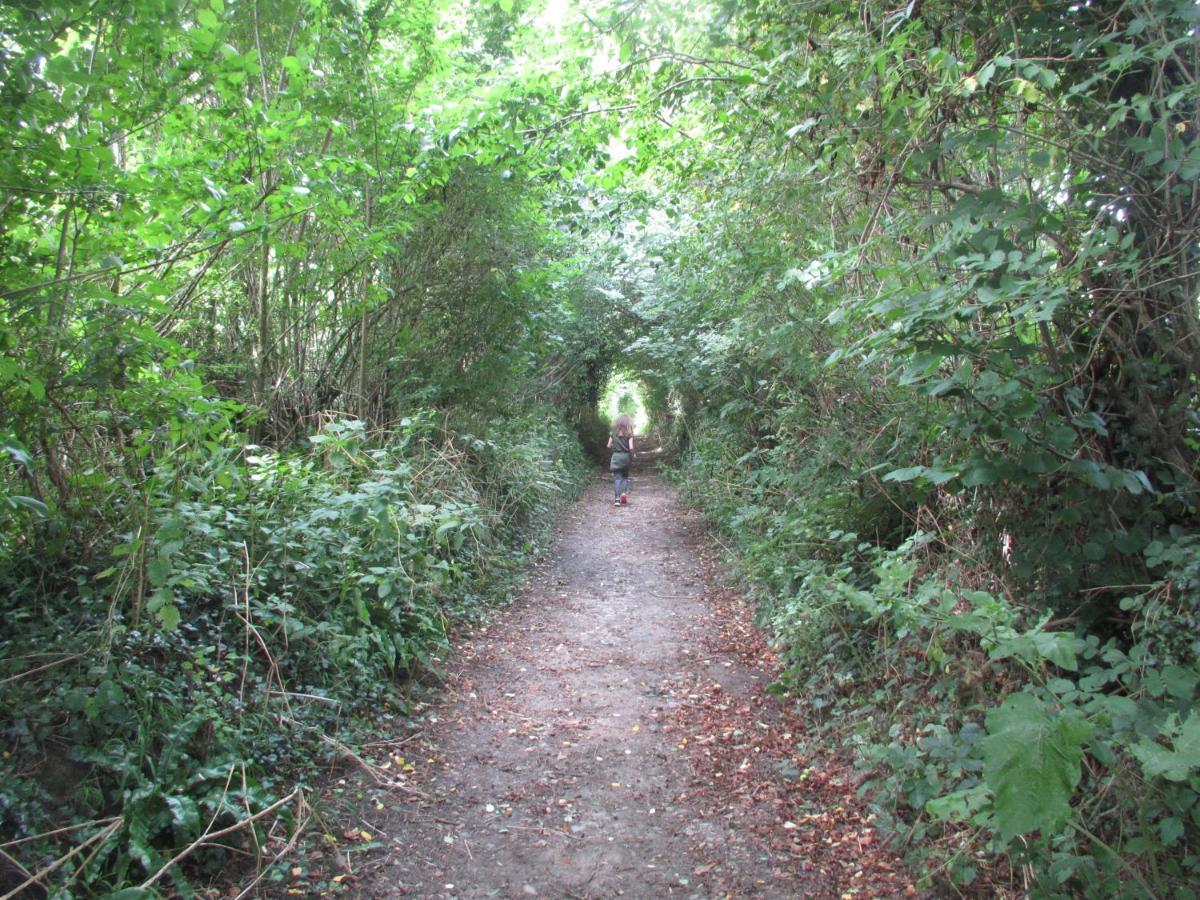 On The Brook Βίλα Bruton Εξωτερικό φωτογραφία